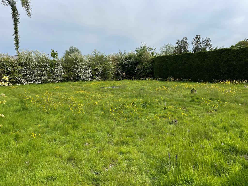 Lot: 81 - LAND WITH CONSENT FOR DETACHED DWELLING - View of plot from accessway